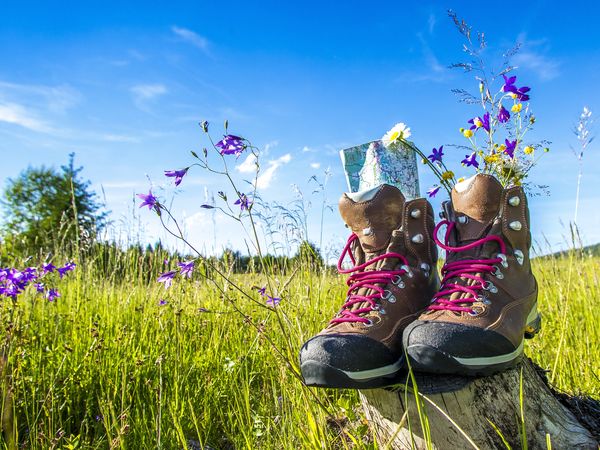 3 Tage Raus aus dem Alltag, rein in die Natur in Neumarkt i.d.OPf., Bayern inkl. Halbpension