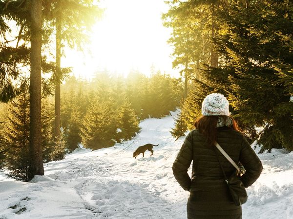 3 Tage Tierisches Vergnügen - Bergferien mit dem Hund / 4 T. in Zwiesel, Bayern inkl. Frühstück