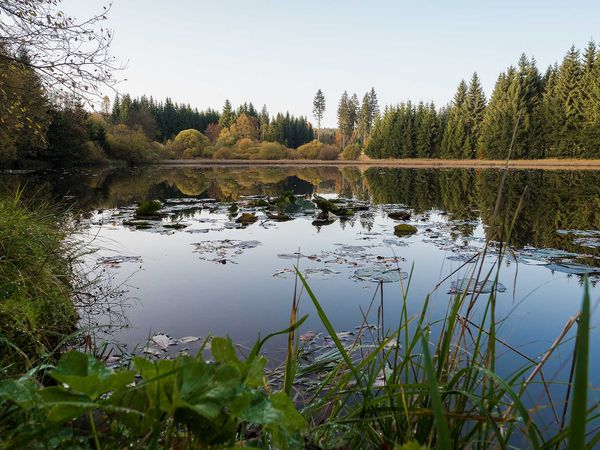 Wohlfühl-Urlaub im Frankenwald - 7 Tage in Steinwiesen, Bayern inkl. Halbpension