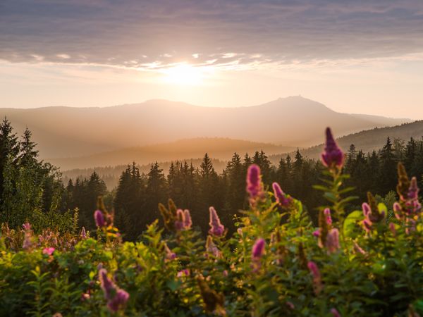 3 Tage Bayerischer Wald für Familien - Kinder gratis* 4Tg/HP in Neukirchen (Niederbayern), Bayern inkl. Halbpension