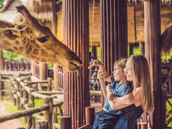 4 Tage Nürnberg mit Nürnberg-Card & Tiergarten in Windsbach, Bayern inkl. Frühstück
