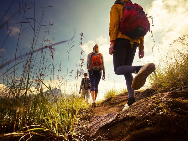 3 Tage Sommerspezial - Bayerischer Wald in Weiding bei Cham, Bayern inkl. Frühstück