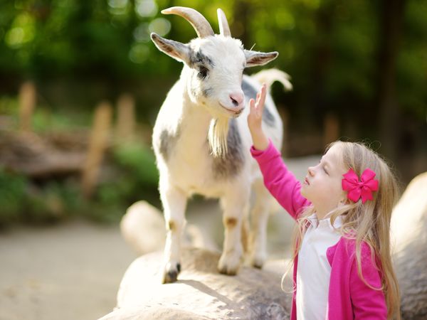 4 Tage Nürnberg mit Nürnberg-Card, Tiergarten,Funpark in Windsbach, Bayern inkl. Frühstück