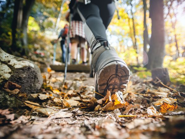 7 Tage Wanderwoche im Lamer Winkel, Bayern inkl. Frühstück