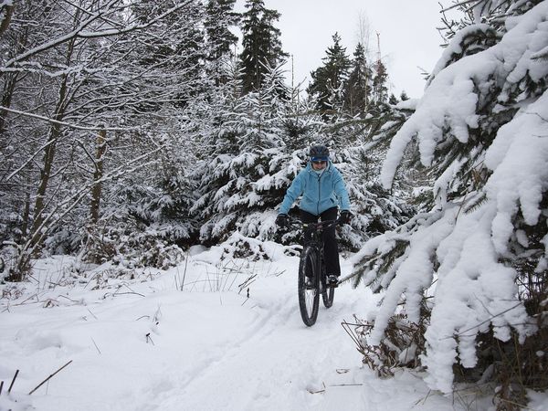 3 Tage Auf in den Sattel - St.Englmar per Rad entdecken 4 Tg in Neukirchen (Niederbayern), Bayern inkl. Frühstück