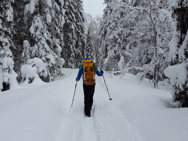 Der Berg ruft- Wandern im Bayrischen Wald / 7 Tage in Zwiesel, Bayern inkl. Frühstück