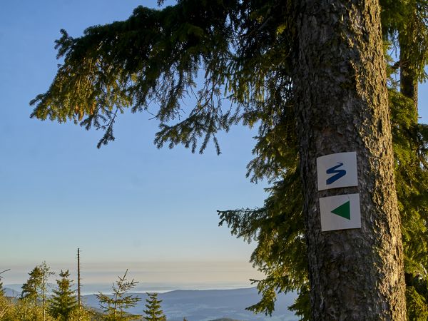 Hoamatgfui - 4 Tage Bayerischer Wald in Lam, Bayern inkl. Halbpension
