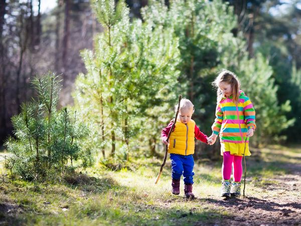 7 Tage Familienzeit im Bayerischen Wald mit 3* Ferienwohnung in Neuschönau, Bayern
