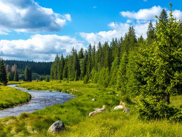 8 Tage Auszeit im Burg Hotel im Hohen Bogen in Neukirchen b.Hl.Blut, Bayern inkl. All Inclusive