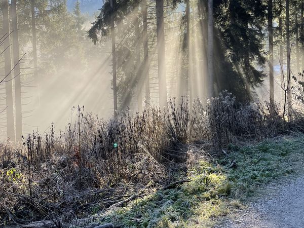 4 Tage / 3 Nächte Aktiv Urlaub im Allgäu in Halblech, Bayern inkl. Halbpension