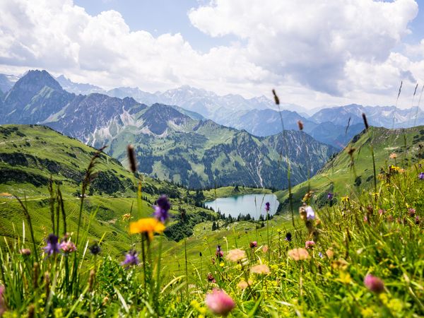 All-inclusive 4 Tage Erholung pur im Bayerischen Wald in Bayerisch Eisenstein, Bayern inkl. All Inclusive