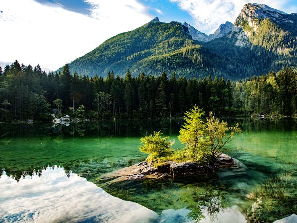 Preis Hit: 3 Tage Bayerwald mit Halbpension&Natur pur in Bayerisch Eisenstein, Bayern inkl. Halbpension