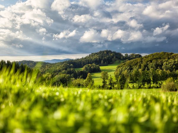 Bayerischer Wald für Individualisten + HP | 3 Tage in Zwiesel, Bayern inkl. Halbpension