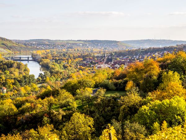 5 Tage Wanderlust am Main mit Abendessen & Lunchpaket in Erlabrunn, Bayern inkl. Halbpension