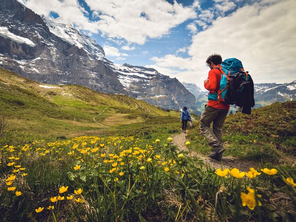 Wandern mit Almausflug / 3 Tage im schönen Chiemgau in Reit im Winkl, Bayern inkl. Halbpension