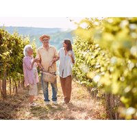 Fränkisches Weinland und Würzburg Special in Dettelbach, Bayern inkl. Halbpension