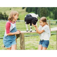 5 Tage Familienzeit im Bayrischen Wald in Bischofsmais, Bayern inkl. Halbpension