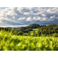 7 Tage Urlaubszeit All Inclusive im Bayerischen Wald in Viechtach, Bayern inkl. Vollpension Plus
