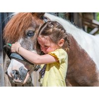 10 Tage Familienauszeit im Bayerischen Wald - 10 Nächte in Runding, Bayern inkl. All Inclusive