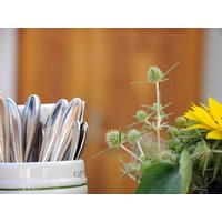 3 Tage Schlemmen, Wandern und Wellness in Südfranken in Markt Nordheim, Bayern inkl. Halbpension
