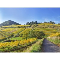 4 Tage Hans-Meyer-Geburtstagsweg-Wandern in Franken in Markt Nordheim, Bayern inkl. Halbpension
