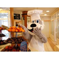 Sonnenwolfi´s  All-Inclusive - 8 Tage Familienspaß! in Waldmünchen, Bayern inkl. All Inclusive