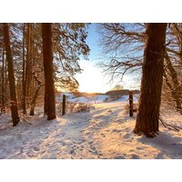 3 Tage Work & Winter - Arbeiten und Abschalten am Arber in Bayerisch Eisenstein, Bayern inkl. Halbpension