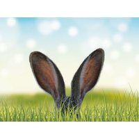 Osterfest im Berchtesgadener Land - 5 Tage in Schneizlreuth, Bayern inkl. Halbpension