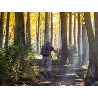 Die Alpen warten-8 Tage im Oberammergau mit Frühstück, Bayern inkl. Frühstück