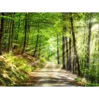 Auszeit im Bayerischen Wald I 8 Tage Alles Inklusive in Thurmansbang, Bayern inkl. All Inclusive