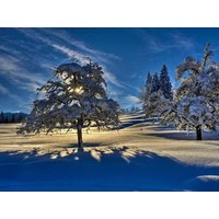 9 Tage Urlaub zwischen Kempten und Bodensee in Oberstaufen, Bayern inkl. Frühstück