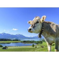 9 Tage Abstand vom Alltag im Allgäu in Kempten (Allgäu), Bayern
