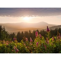 4 Tage Kurzurlaub mit Frühstück im Zur Post Landgasthof in Dingolfing, Bayern inkl. Frühstück
