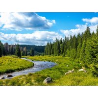 **AKTION Preiskracher** Bayerischer Wald für Entdecker inklusive 1 x Halbpension | 3 Tage in Sonnen, Bayern inkl. Halbpension