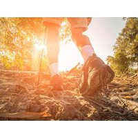 Aufatmen & Durchatmen - 4 Tage Erholungsurlaub im Ostallgäu in Seeg, Bayern inkl. Frühstück
