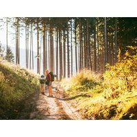 2 Tage Aktiv-Auszeit im Bayrischen Wald in Bischofsmais, Bayern inkl. Frühstück