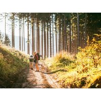 Hmm GeniesserDEAL I 8 Tage Wohlfühlzeit in Bayern in Wemding inkl. Halbpension