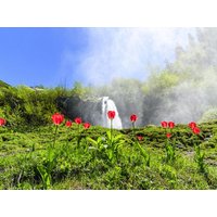 8 Tage traumhafter Alpen-Urlaub in Oberstdorf, Bayern inkl. Frühstück