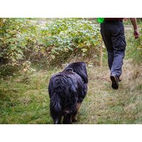 Das Tor zur Fränkischen Schweiz entdecken - 4 Tage in Forchheim (Oberfranken), Bayern inkl. Frühstück