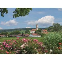 4 Tage im Best Western Aparthotel mit Frühstück in Bad Birnbach, Bayern inkl. Frühstück