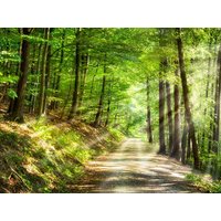 8Tage im Vital & Wellnesshotel Schürger mit HP in Thurmansbang, Bayern inkl. Halbpension