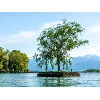 5 Tage Chiemsee - Urlaub am bayerischen Meer mit Frühstück in Prien am Chiemsee, Bayern inkl. Frühstück