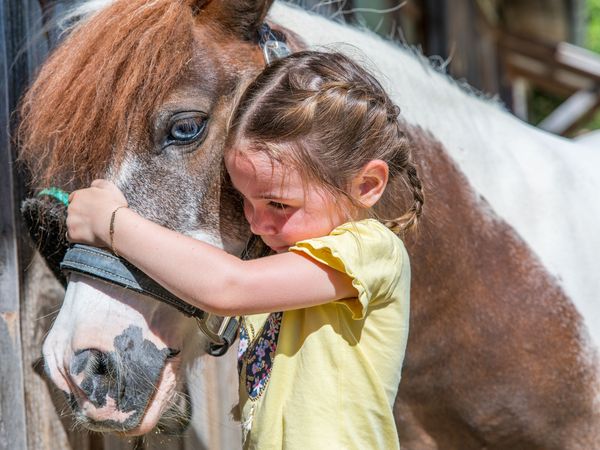 10 Tage Familienauszeit im Bayerischen Wald - 10 Nächte in Runding, Bayern inkl. All Inclusive Unkategorisiert online kaufen 10 Tage Familienauszeit im Bayerischen Wald - 10 Nächte in Runding, Bayern inkl. All Inclusive Unkategorisiert online kaufen