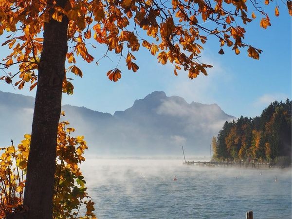 2 Tage Urlaub mit Hund im Allgäu, Natürlich & Entspannt. 🐾 in Kaufbeuren, Bayern inkl. Frühstück Unkategorisiert online kaufen