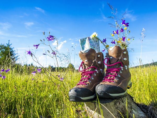 2 Tage Wanderparadies St.Englmar im Bayerischen Wald 3 Tg in Neukirchen (Niederbayern), Bayern inkl. Frühstück Unkategorisiert online kaufen 2 Tage Wanderparadies St.Englmar im Bayerischen Wald 3 Tg in Neukirchen (Niederbayern), Bayern inkl. Frühstück Unkategorisiert online kaufen