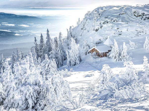 2 Tage Wintermärchen in Dettelbach, Bayern inkl. Halbpension Unkategorisiert online kaufen