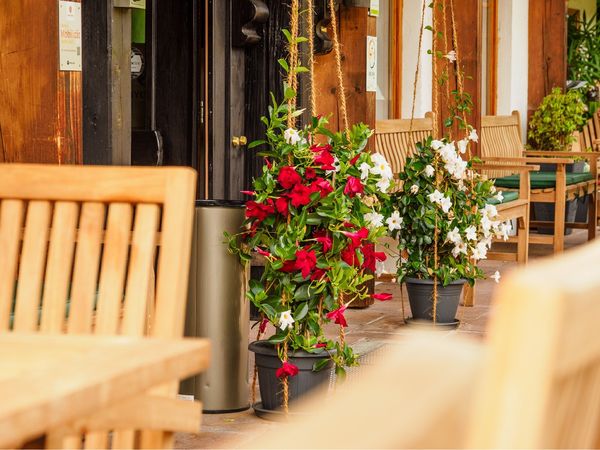 3 Tage Auszeit zu zweit (3 Nächte) in Bad Hindelang, Bayern inkl. Frühstück Unkategorisiert online kaufen