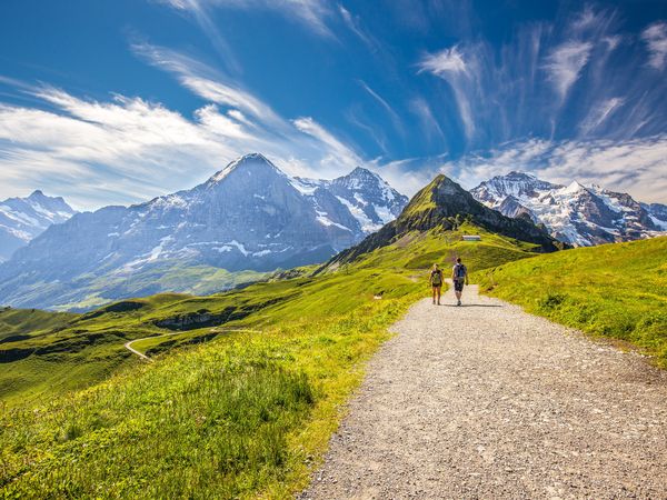 3 Tage Halbpension Plus+ zum Spitzenpreis – Genuss inklusive in Bayerisch Eisenstein, Bayern inkl. Halbpension Plus Unkategorisiert online kaufen