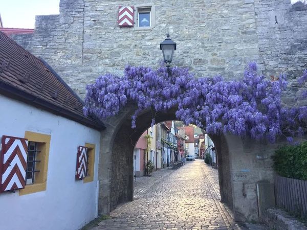 3 Tage Kurzurlaub mit Frühstück im Weinhotel Oechsle&Brix in Würzburg, Bayern inkl. Frühstück Unkategorisiert online kaufen