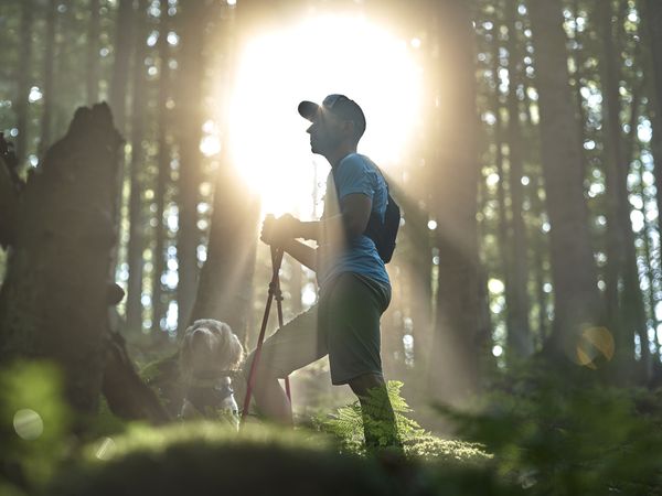 3 Tage Wander-Auszeit in Bodenmais, Bayern inkl. Vollpension Plus Unkategorisiert online kaufen 3 Tage Wander-Auszeit in Bodenmais, Bayern inkl. Vollpension Plus Unkategorisiert online kaufen